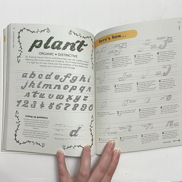 Awesome Book of Hand and Chalk Lettering Paperback How To Book by Dina Rodriguez - Picture 7 of 9